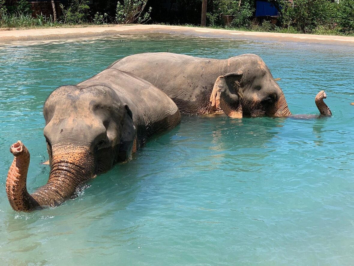 ESCURSIONI AL PARCO KHAO LAK