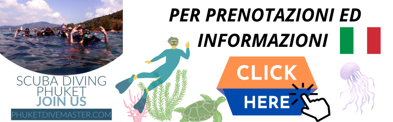 IMMERSIONI RAYA ISLAND