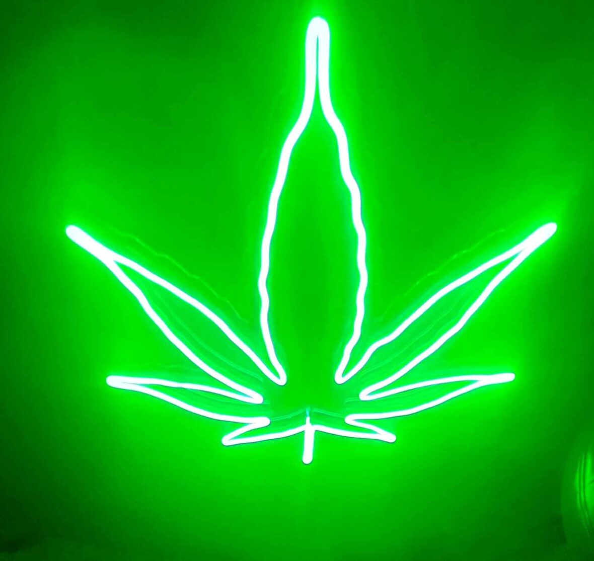 BEST CANNABIS SHOP IN PHUKET