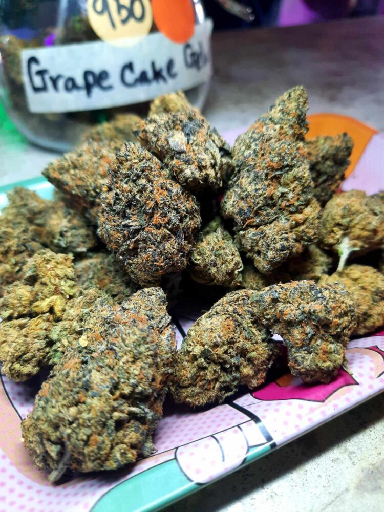 BEST CANNABIS SHOP IN PHUKET PATONG BEACH BEST COFFEE SHOP