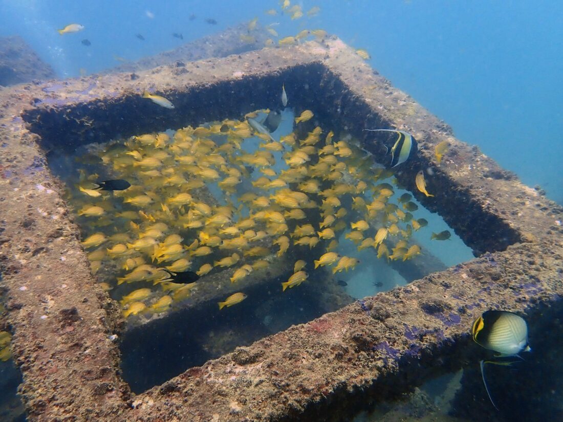 corsi diving immersioni a Phuket